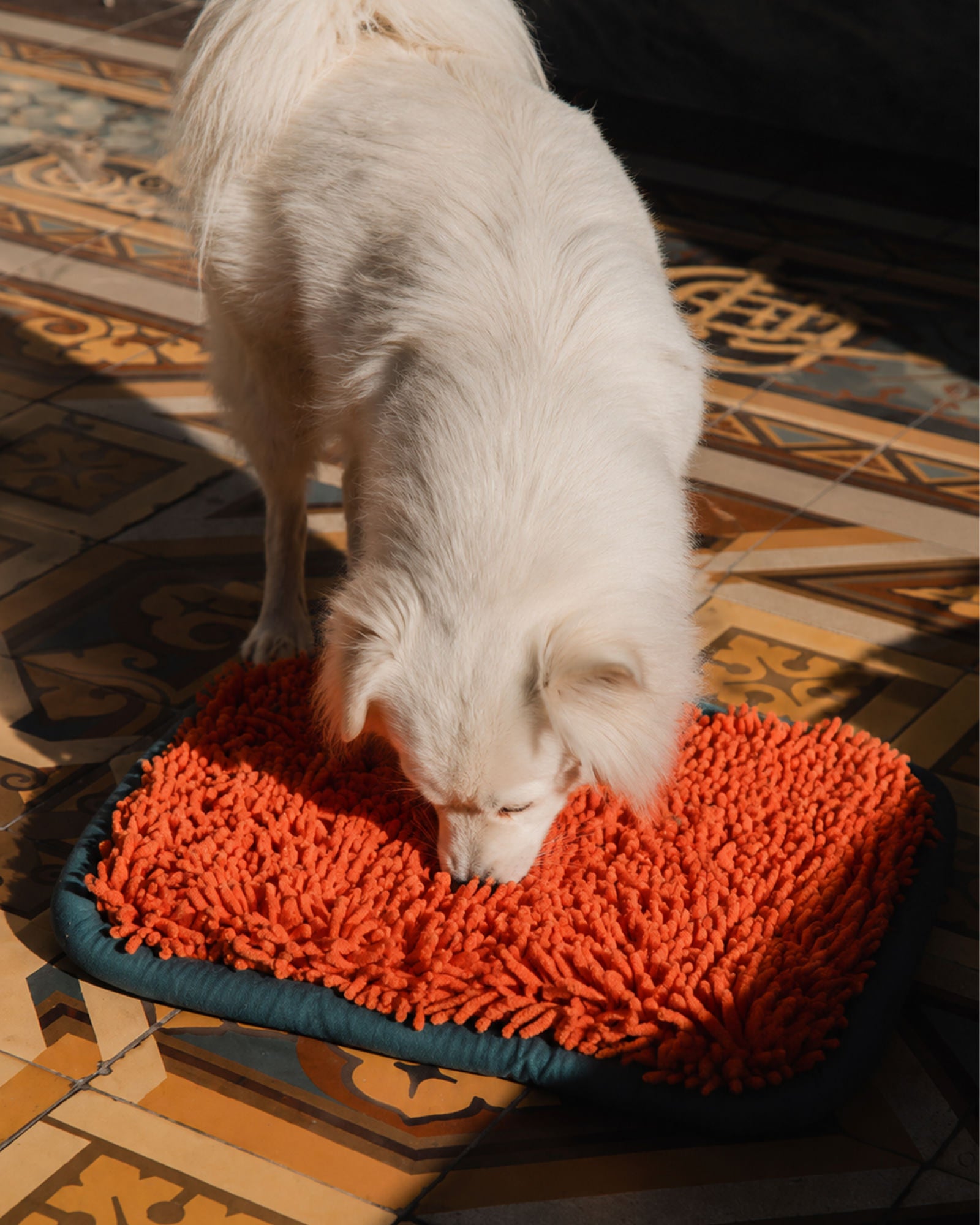Happy Tails Kit